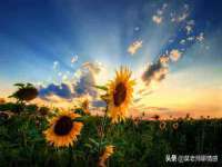 广州慧娴科技有限公司