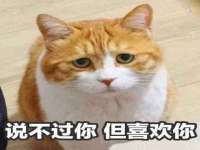 广州慧娴科技有限公司