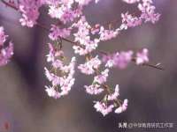 广州慧娴科技有限公司