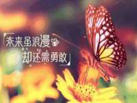 广州慧娴科技有限公司