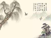 广州慧娴科技有限公司