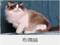 广州慧娴科技有限公司