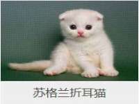 广州慧娴科技有限公司
