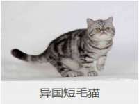 广州慧娴科技有限公司