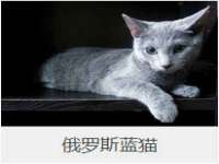 广州慧娴科技有限公司