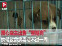 广州慧娴科技有限公司