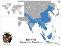 广州慧娴科技有限公司
