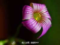 广州慧娴科技有限公司