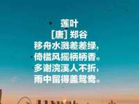 广州慧娴科技有限公司