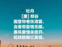 广州慧娴科技有限公司