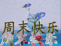 广州慧娴科技有限公司