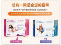 广州慧娴科技有限公司