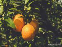 广州慧娴科技有限公司