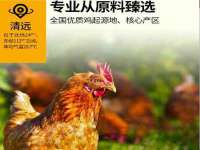 广州慧娴科技有限公司