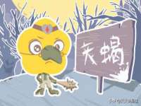 广州慧娴科技有限公司