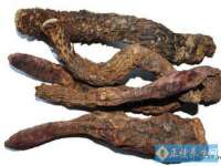 广州慧娴科技有限公司