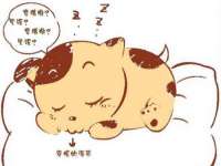 广州慧娴科技有限公司