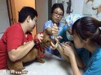 广州慧娴科技有限公司