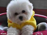 广州慧娴科技有限公司