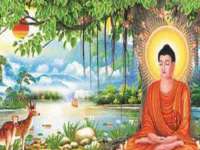 广州慧娴科技有限公司